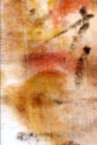 Emanuela Montorro dipinge ad olio su tela opere raffiguranti angeli e veneri, realizza anche su commissione ritratti, paesaggi e animali o trompe l'oeil su muro.